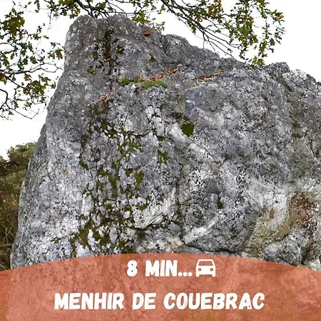 Apartman Centre-ville - Fibre - Netflix - T2 Le Rieffel Nozay